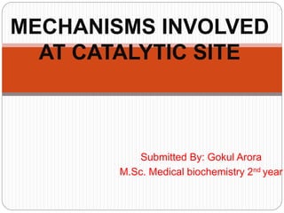 Submitted By: Gokul Arora
M.Sc. Medical biochemistry 2nd year
MECHANISMS INVOLVED
AT CATALYTIC SITE
 