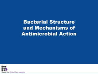 Bacterial Structure
and Mechanisms of
Antimicrobial Action
1
 