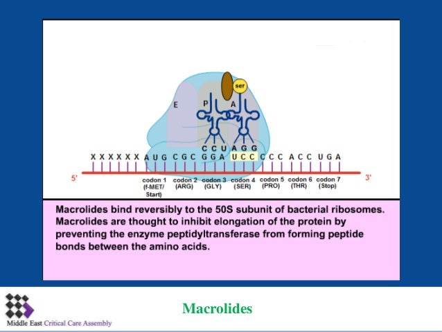 mechanism of action of antibiotics pdf