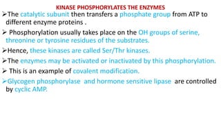 Mechanisms of action of hormones and signaling molecules | PPTX