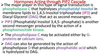 Pip2 Signal Mechanisms of action of hormones and signaling molecules | PPTX