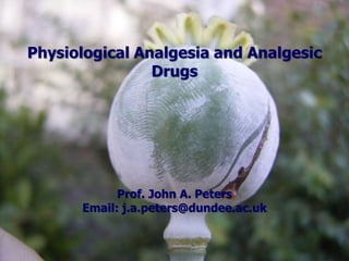Physiological Analgesia and Analgesic
Drugs
Prof. John A. Peters
Email: j.a.peters@dundee.ac.uk
 