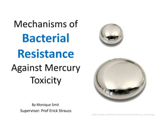 Mechanisms of Bacterial Resistance Against Mercury Toxicity By Monique Smit Supervisor: Prof Erick Strauss http://www.ramehart.com/newsletters/mercury_drops.jpg 