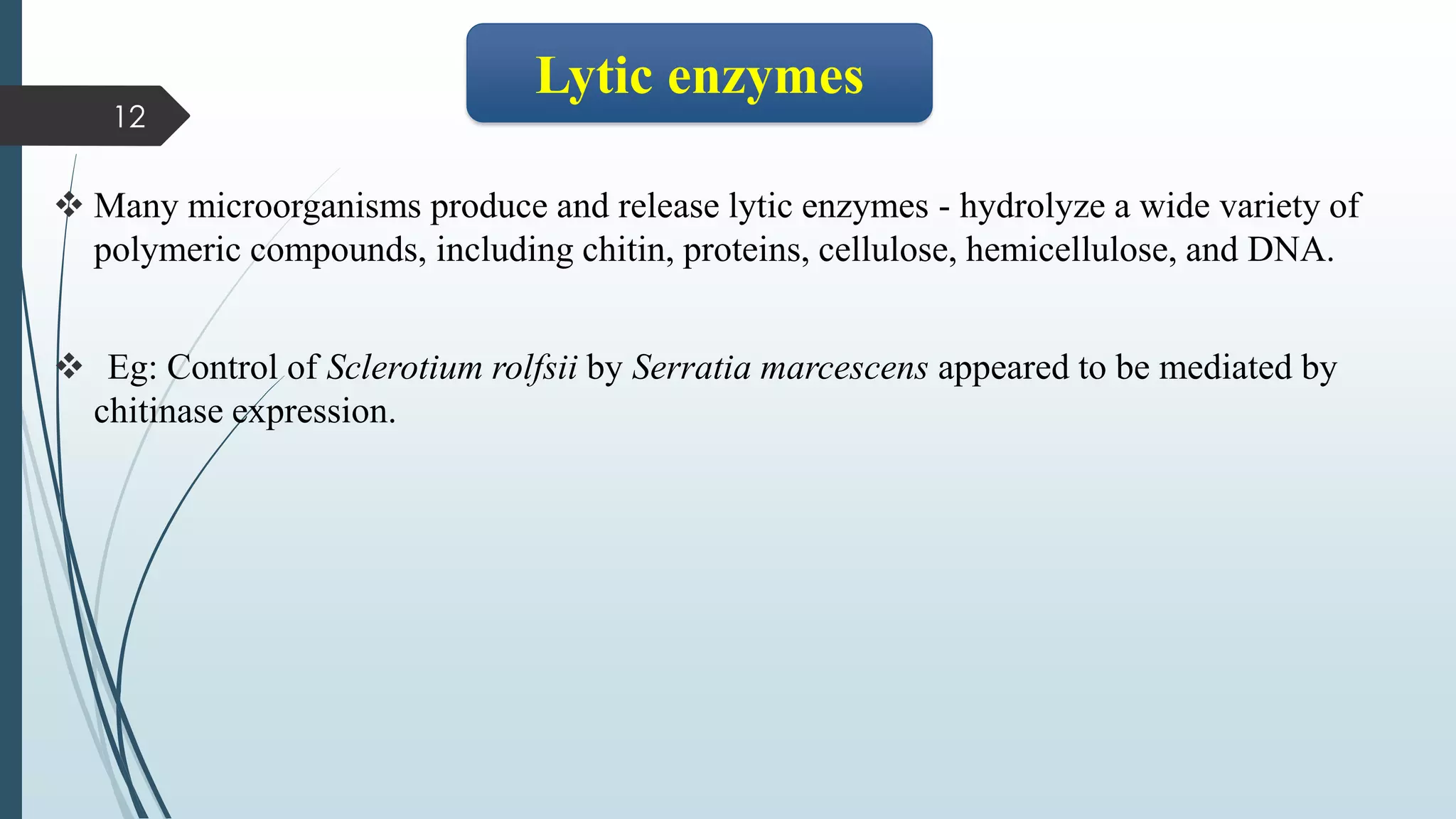 ❖ Many microorganisms produce and release lytic enzymes - hydrolyze a wide variety of
polymeric compounds, including chitin, proteins, cellulose, hemicellulose, and DNA.
❖ Eg: Control of Sclerotium rolfsii by Serratia marcescens appeared to be mediated by
chitinase expression.
12
Lytic enzymes
 
