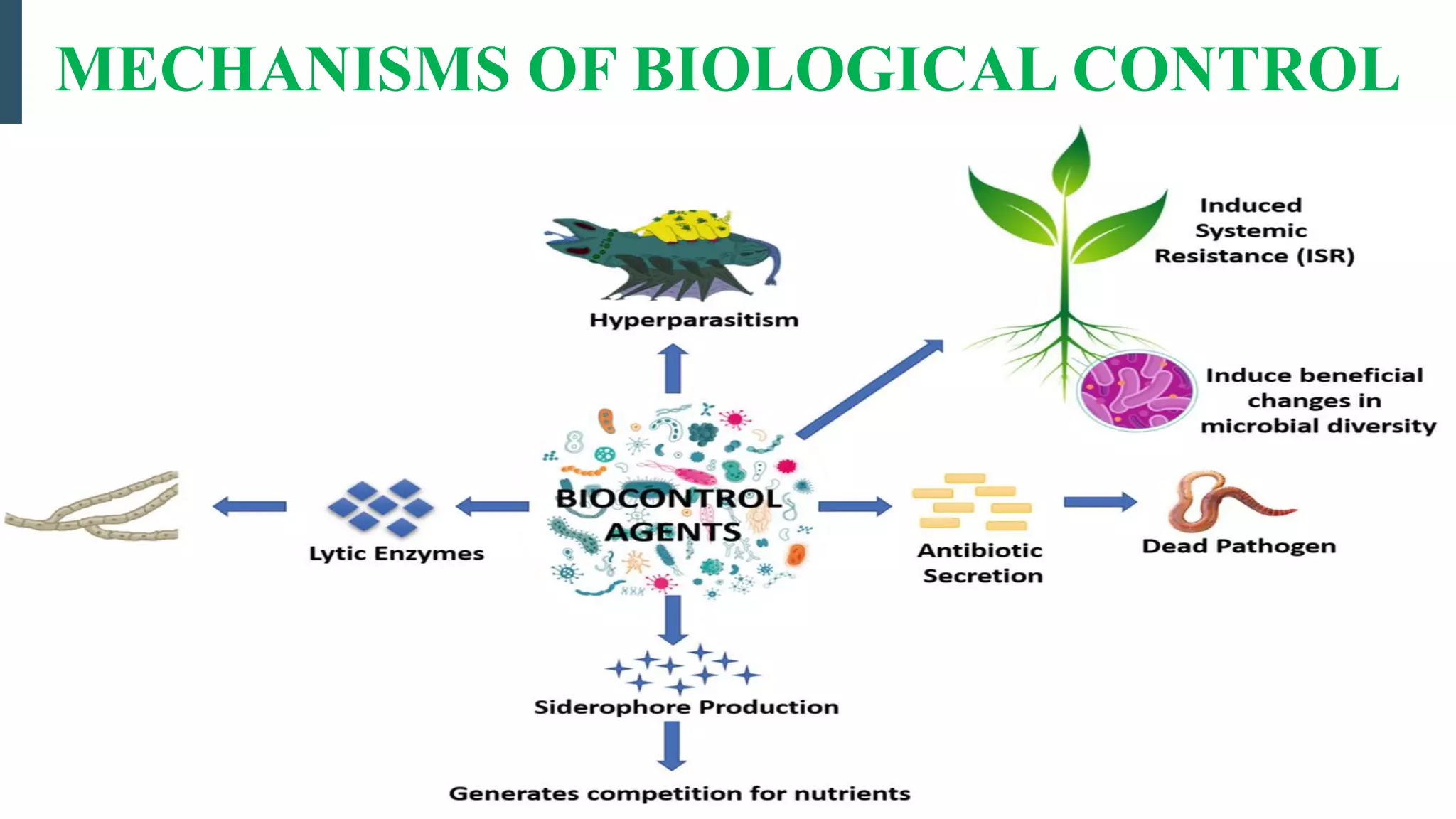 Mechanisms of Biological Control | PPT