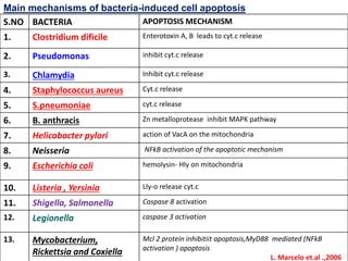 Mechanisms of cell death | PPT