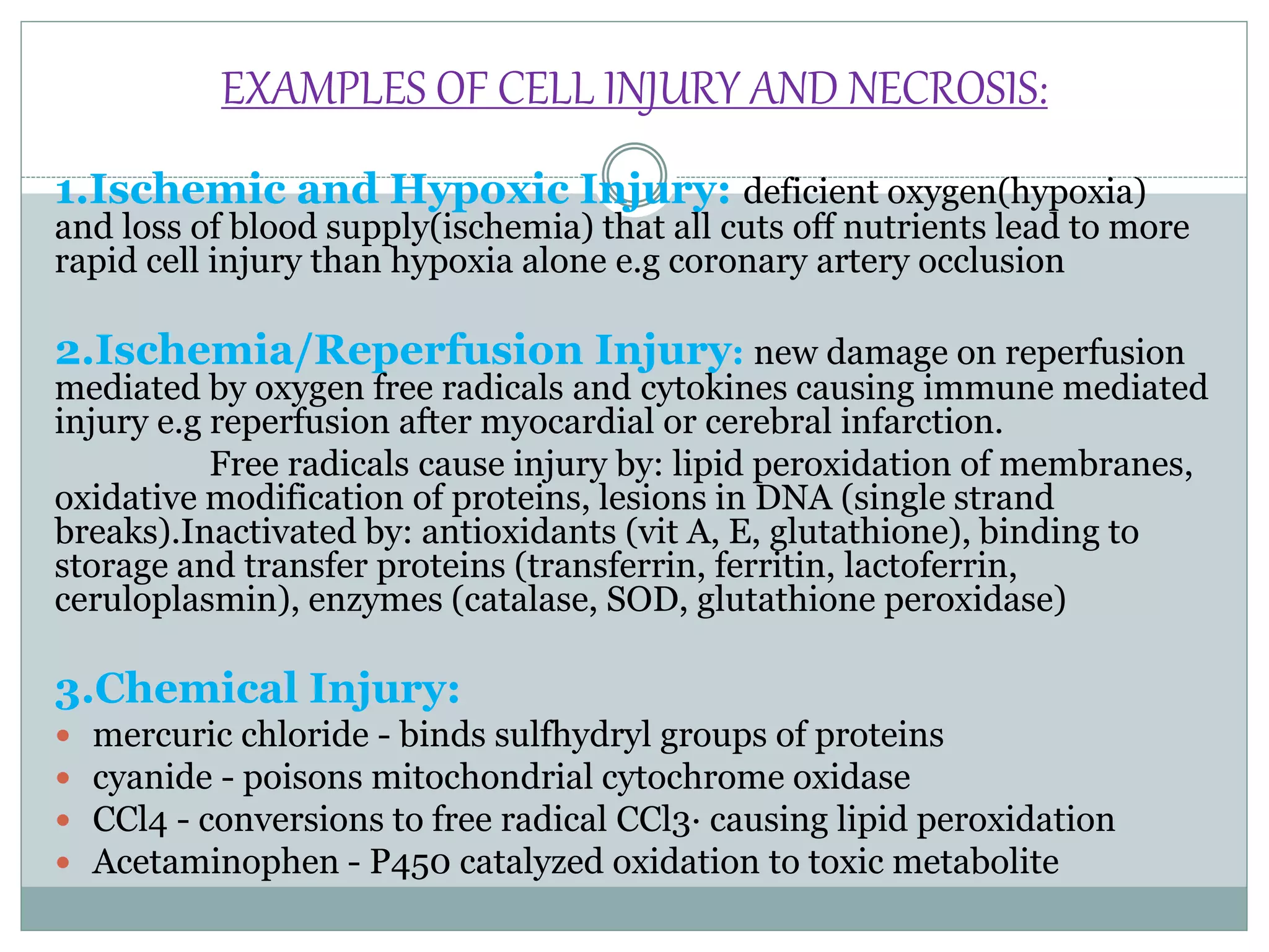 Mechanisms of cell injury ppt