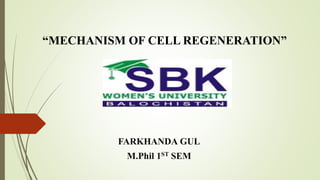 “MECHANISM OF CELL REGENERATION”
FARKHANDA GUL
M.Phil 1ST SEM
 