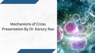 Mechanisms of Cross
Presentation By Dr. Kanury Rao
 