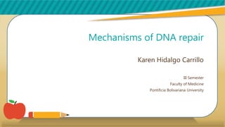 Mechanisms of DNA repair
Karen Hidalgo Carrillo
III Semester
Faculty of Medicine
Pontificia Bolivariana University
 