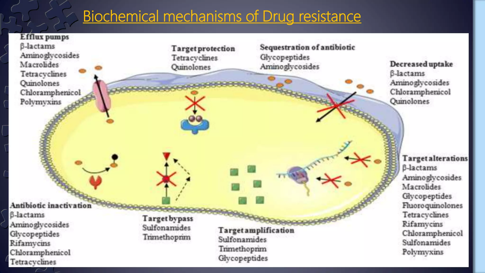 Mechanisms of drug resistance | PPTX