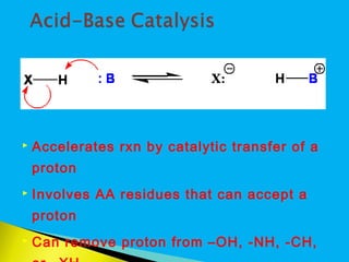 Transferase Rxn Mechanisms of enzyme action | PPT