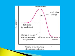 Mechanisms of enzyme action | PPT