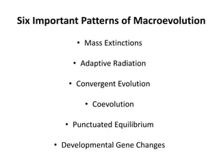 MECHANISMS OF EVOLUTION.pptx