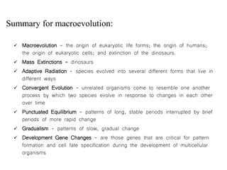 MECHANISMS OF EVOLUTION.pptx