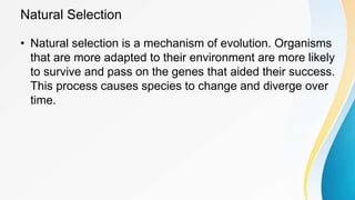 Natural Selection
• Natural selection is a mechanism of evolution. Organisms
that are more adapted to their environment are more likely
to survive and pass on the genes that aided their success.
This process causes species to change and diverge over
time.
 