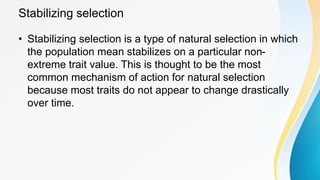 Stabilizing selection
• Stabilizing selection is a type of natural selection in which
the population mean stabilizes on a particular non-
extreme trait value. This is thought to be the most
common mechanism of action for natural selection
because most traits do not appear to change drastically
over time.
 