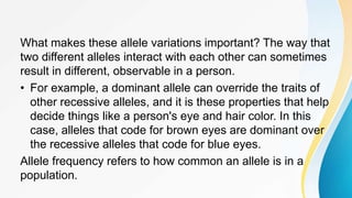 What makes these allele variations important? The way that
two different alleles interact with each other can sometimes
result in different, observable in a person.
• For example, a dominant allele can override the traits of
other recessive alleles, and it is these properties that help
decide things like a person's eye and hair color. In this
case, alleles that code for brown eyes are dominant over
the recessive alleles that code for blue eyes.
Allele frequency refers to how common an allele is in a
population.
 