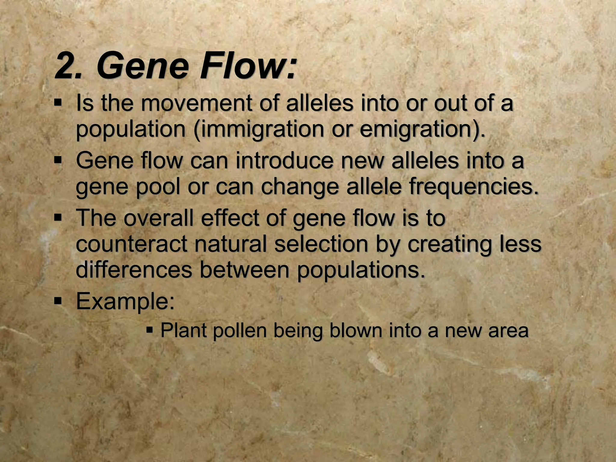 2. Gene Flow:
 Is the movement of alleles into or out of a
population (immigration or emigration).
 Gene flow can introduce new alleles into a
gene pool or can change allele frequencies.
 The overall effect of gene flow is to
counteract natural selection by creating less
differences between populations.
 Example:
 Plant pollen being blown into a new area
 