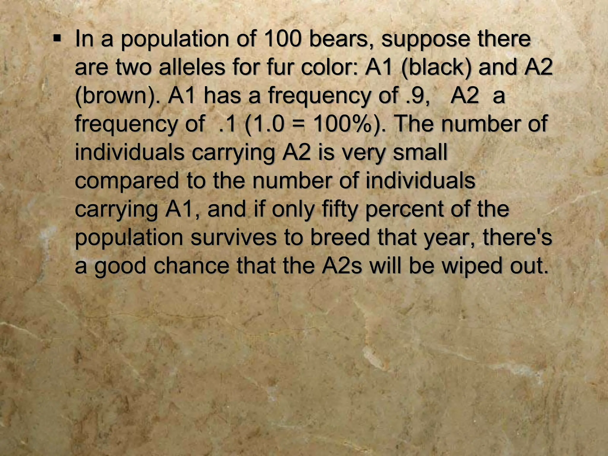  In a population of 100 bears, suppose there
are two alleles for fur color: A1 (black) and A2
(brown). A1 has a frequency of .9, A2 a
frequency of .1 (1.0 = 100%). The number of
individuals carrying A2 is very small
compared to the number of individuals
carrying A1, and if only fifty percent of the
population survives to breed that year, there's
a good chance that the A2s will be wiped out.
 