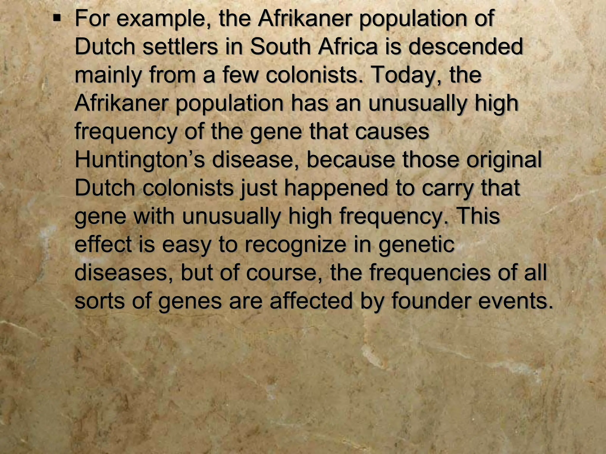  For example, the Afrikaner population of
Dutch settlers in South Africa is descended
mainly from a few colonists. Today, the
Afrikaner population has an unusually high
frequency of the gene that causes
Huntington’s disease, because those original
Dutch colonists just happened to carry that
gene with unusually high frequency. This
effect is easy to recognize in genetic
diseases, but of course, the frequencies of all
sorts of genes are affected by founder events.
 