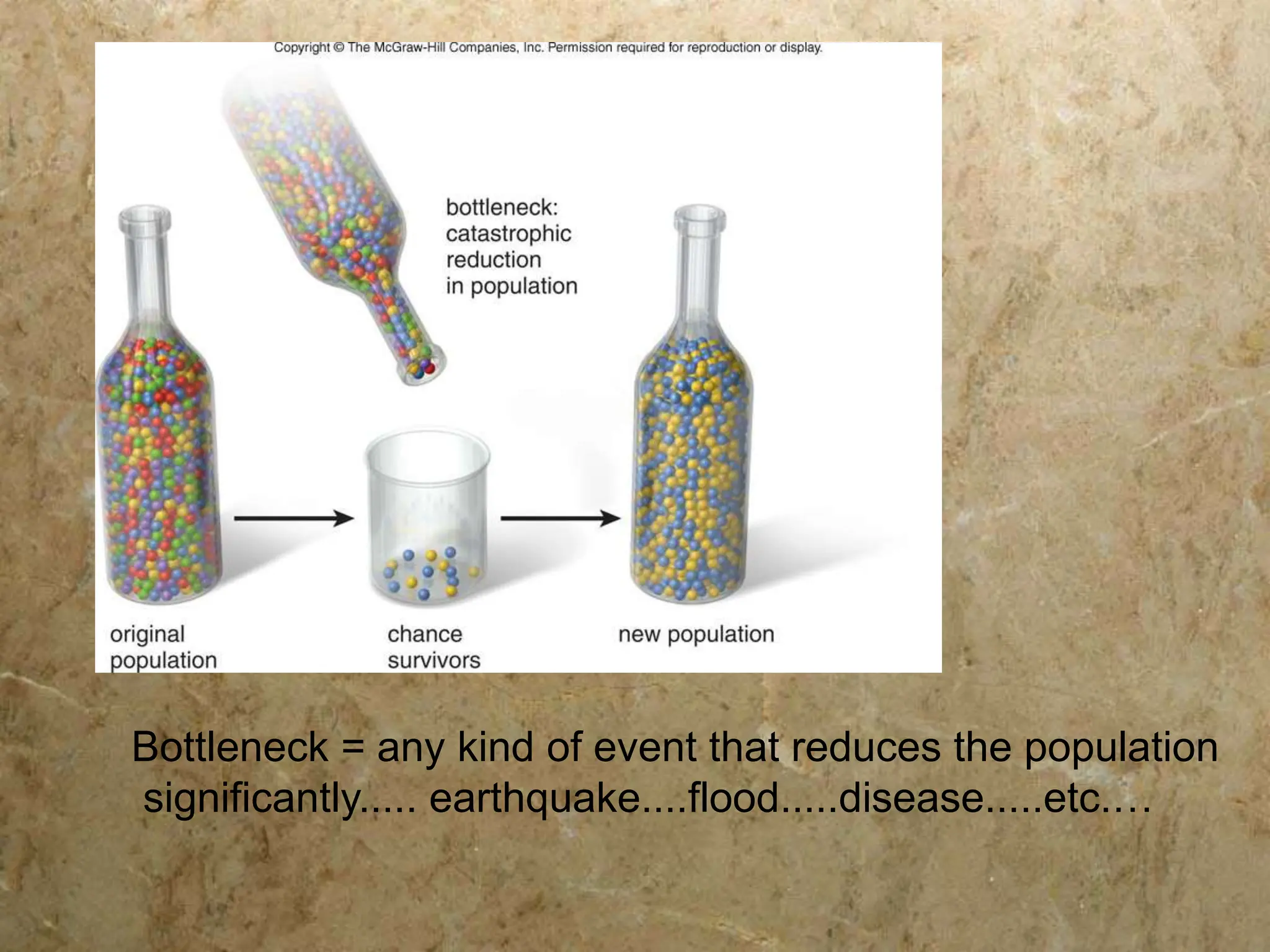 Bottleneck = any kind of event that reduces the population
significantly..... earthquake....flood.....disease.....etc.…
 