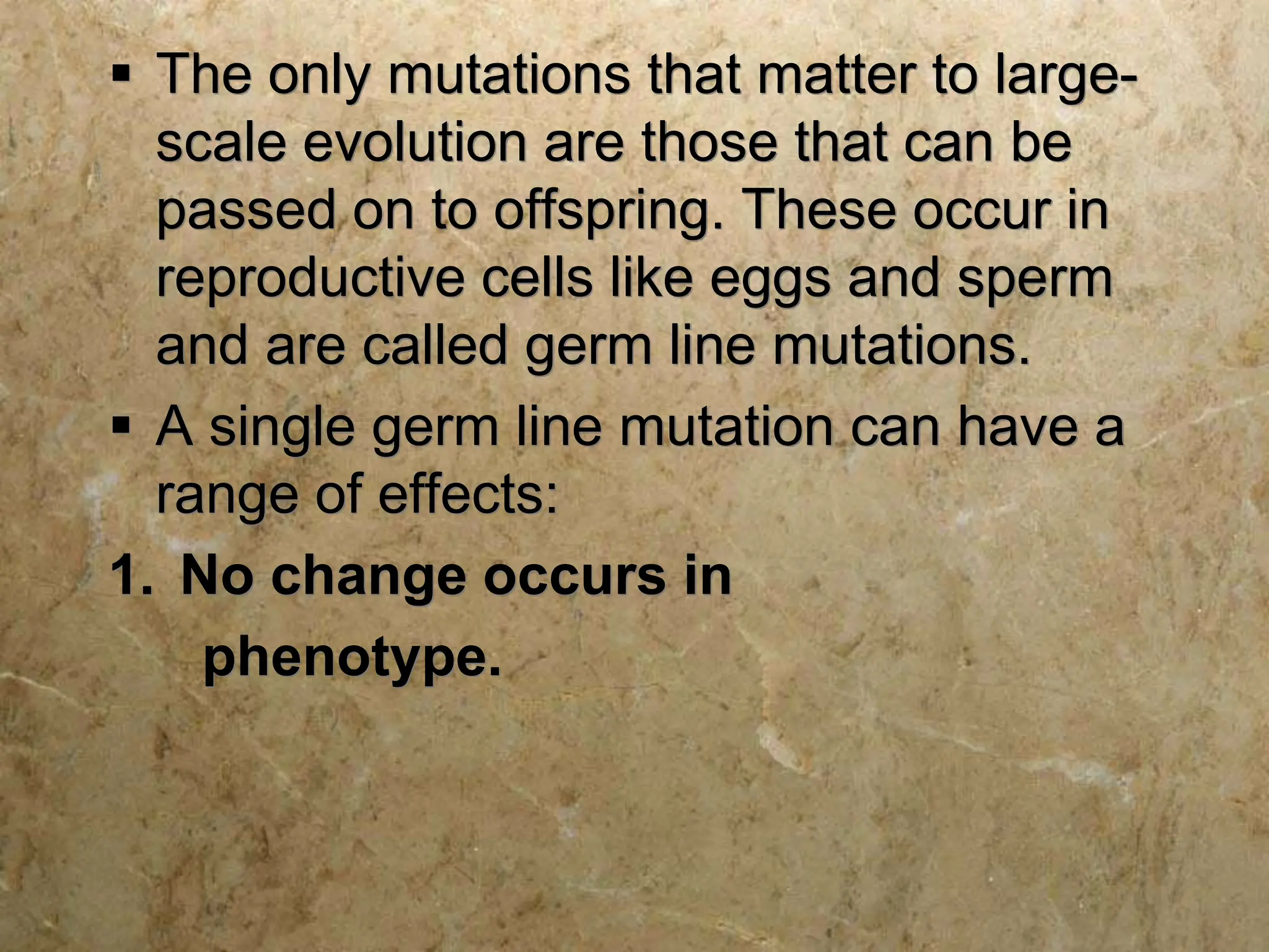  The only mutations that matter to large-
scale evolution are those that can be
passed on to offspring. These occur in
reproductive cells like eggs and sperm
and are called germ line mutations.
 A single germ line mutation can have a
range of effects:
1. No change occurs in
phenotype.
 