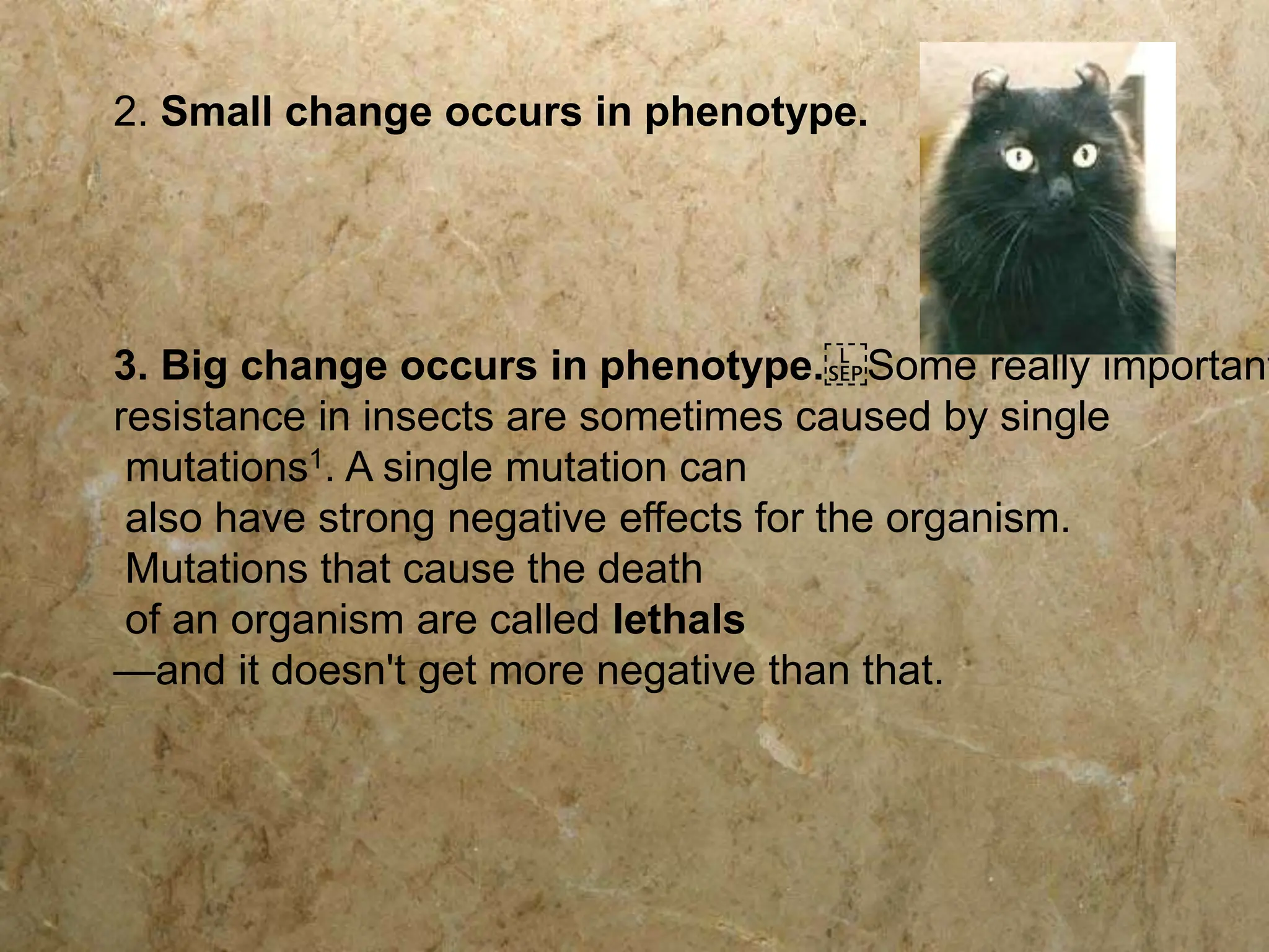2. Small change occurs in phenotype.
3. Big change occurs in phenotype. Some really important
resistance in insects are sometimes caused by single
mutations1. A single mutation can
also have strong negative effects for the organism.
Mutations that cause the death
of an organism are called lethals
—and it doesn't get more negative than that.
 