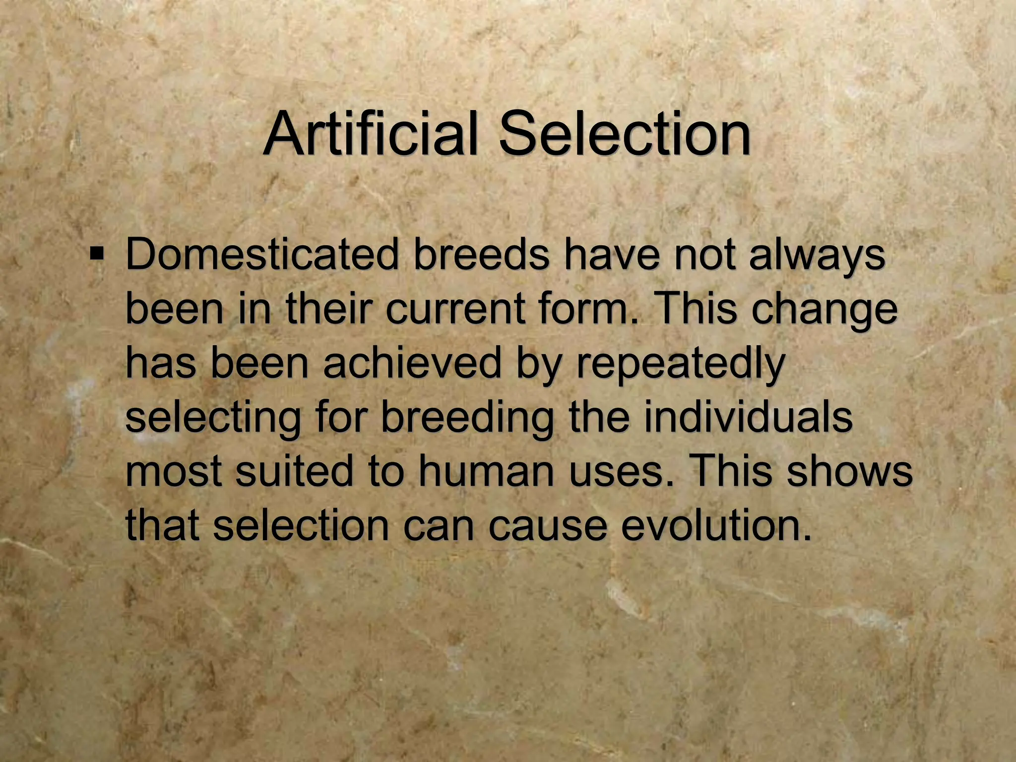 Artificial Selection
 Domesticated breeds have not always
been in their current form. This change
has been achieved by repeatedly
selecting for breeding the individuals
most suited to human uses. This shows
that selection can cause evolution.
 