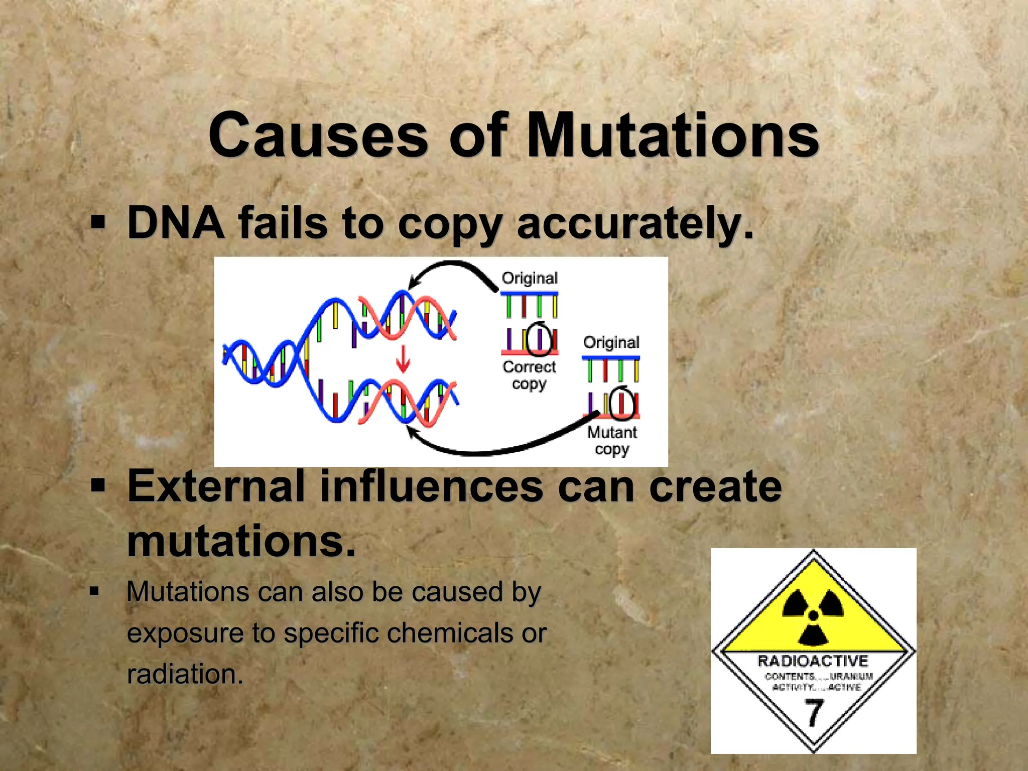Causes of Mutations
 DNA fails to copy accurately.
 External influences can create
mutations.
 Mutations can also be caused by
exposure to specific chemicals or
radiation.
 