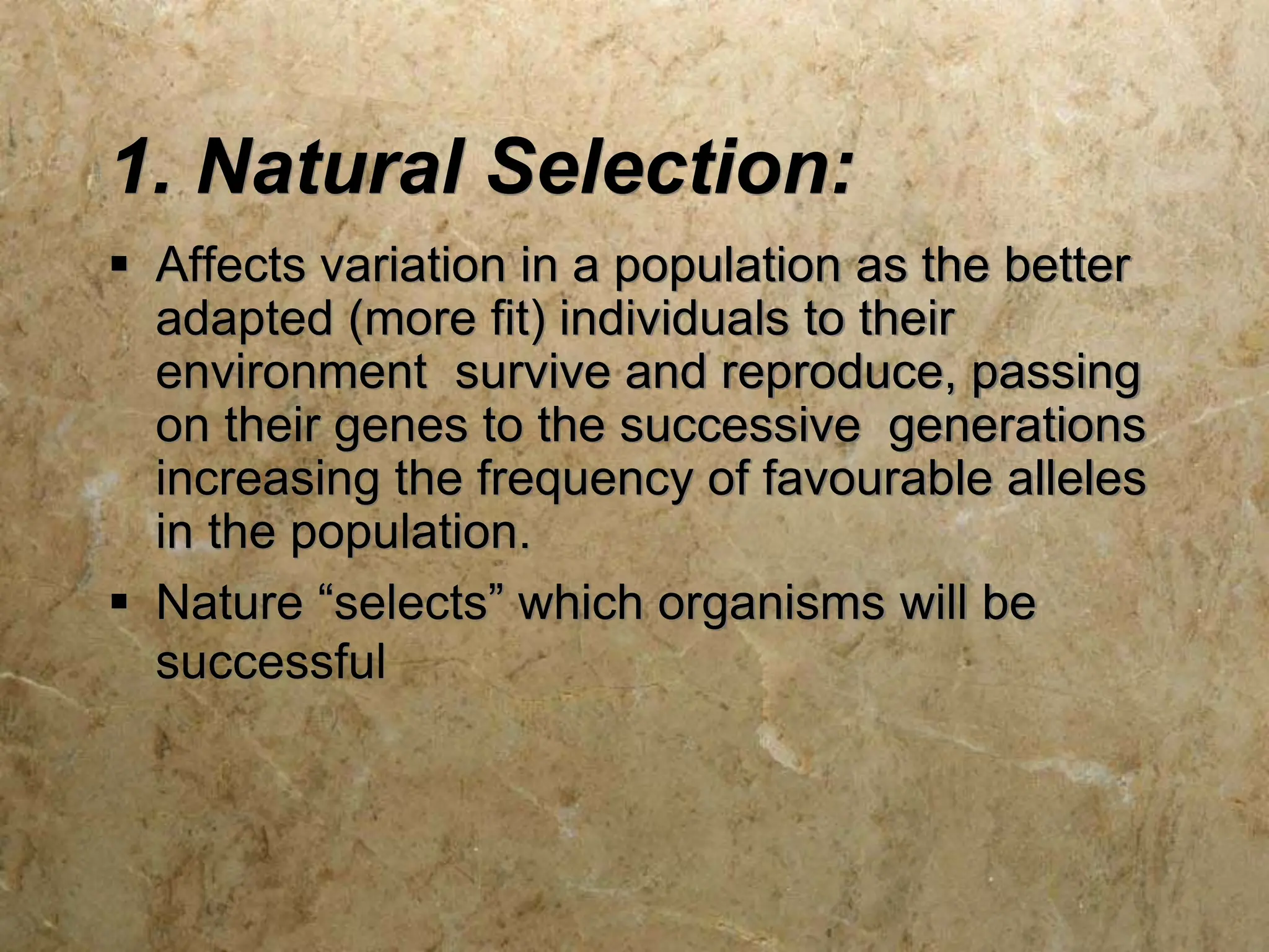 1. Natural Selection:
 Affects variation in a population as the better
adapted (more fit) individuals to their
environment survive and reproduce, passing
on their genes to the successive generations
increasing the frequency of favourable alleles
in the population.
 Nature “selects” which organisms will be
successful
 