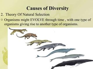 Mechanisms of Evolution. Earth and Life Science.pptx