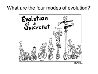 What are the four modes of evolution? 