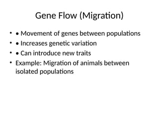 Gene Flow (Migration)
• • Movement of genes between populations
• • Increases genetic variation
• • Can introduce new traits
• Example: Migration of animals between
isolated populations
 