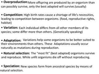 • Overproduction:More offspring are produced by an organism than
can possibly survive, only the best adapted will survive.(usually)

• Competition: High birth rates cause a shortage of life’s necessities,
leading to competition between organisms. (food, reproductive rights,
habitat)
• Variation: Each individual differs from all other members of its
species; some differ more than others. (Genetically speaking)

• Adaptation: Variations help some organisms to be better suited to
their environments than others. These Adaptations usually occur
naturally as mutations during reproduction.
• Natural selection: The “most fit” (best adapted) organisms survive
and reproduce. While unfit organisms die off without reproducing.

• Speciation: New species form from ancestral species by means of
natural selection.
 