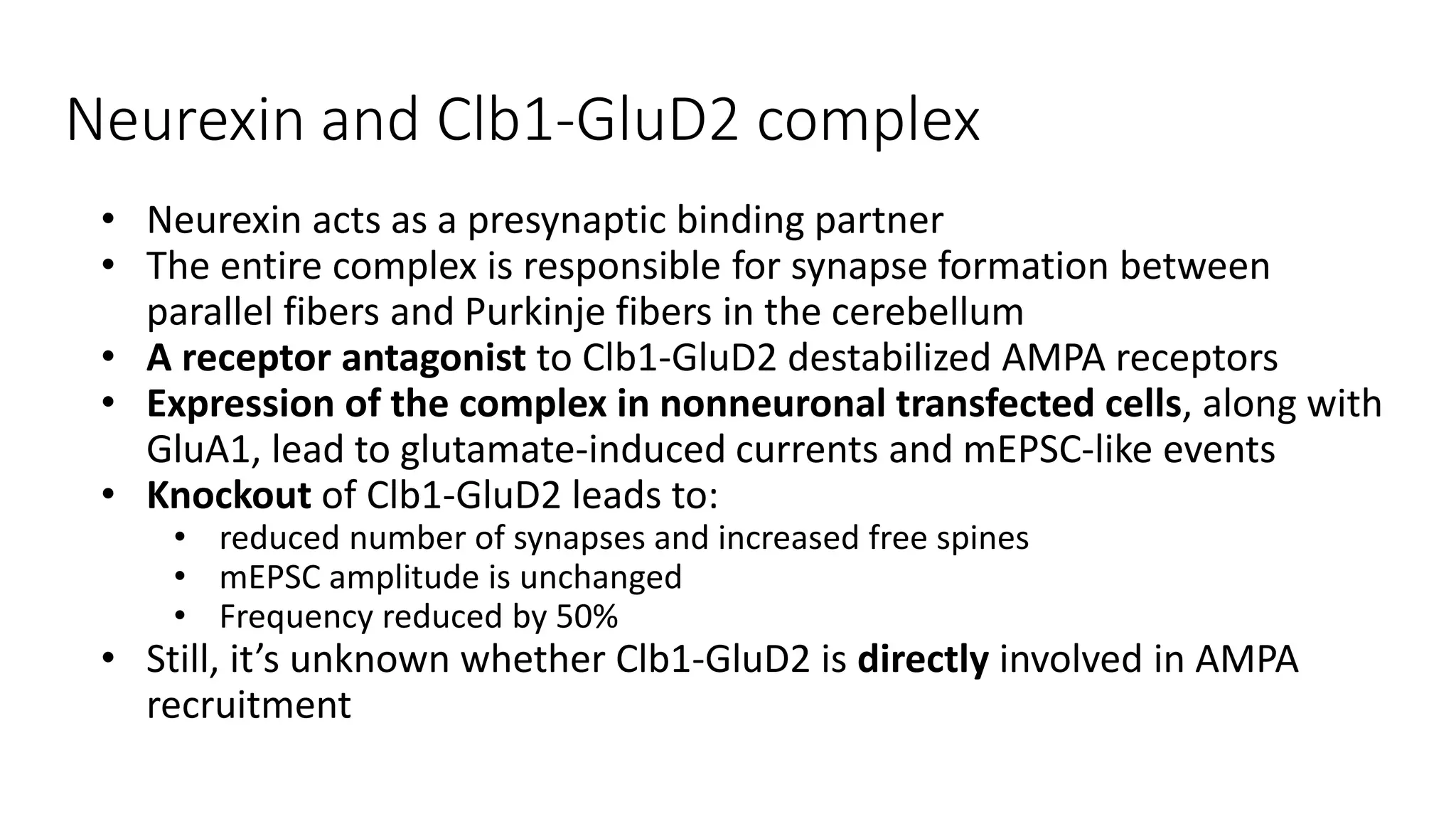 Neurexin and Clb1-GluD2 complex
• Neurexin acts as a presynaptic binding partner
• The entire complex is responsible for synapse formation between
parallel fibers and Purkinje fibers in the cerebellum
• A receptor antagonist to Clb1-GluD2 destabilized AMPA receptors
• Expression of the complex in nonneuronal transfected cells, along with
GluA1, lead to glutamate-induced currents and mEPSC-like events
• Knockout of Clb1-GluD2 leads to:
• reduced number of synapses and increased free spines
• mEPSC amplitude is unchanged
• Frequency reduced by 50%
• Still, it’s unknown whether Clb1-GluD2 is directly involved in AMPA
recruitment
 
