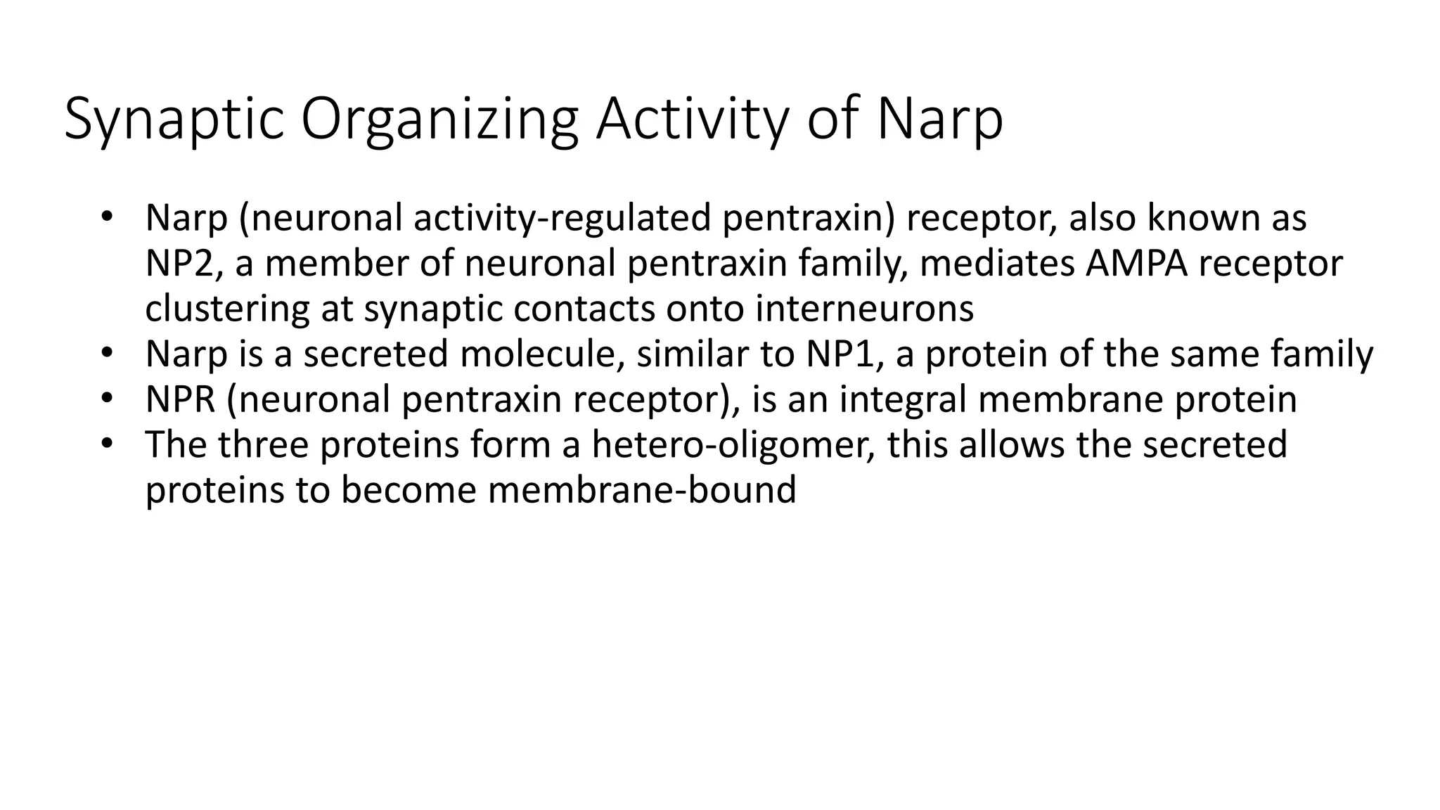 Synaptic Organizing Activity of Narp
• Narp (neuronal activity-regulated pentraxin) receptor, also known as
NP2, a member of neuronal pentraxin family, mediates AMPA receptor
clustering at synaptic contacts onto interneurons
• Narp is a secreted molecule, similar to NP1, a protein of the same family
• NPR (neuronal pentraxin receptor), is an integral membrane protein
• The three proteins form a hetero-oligomer, this allows the secreted
proteins to become membrane-bound
 