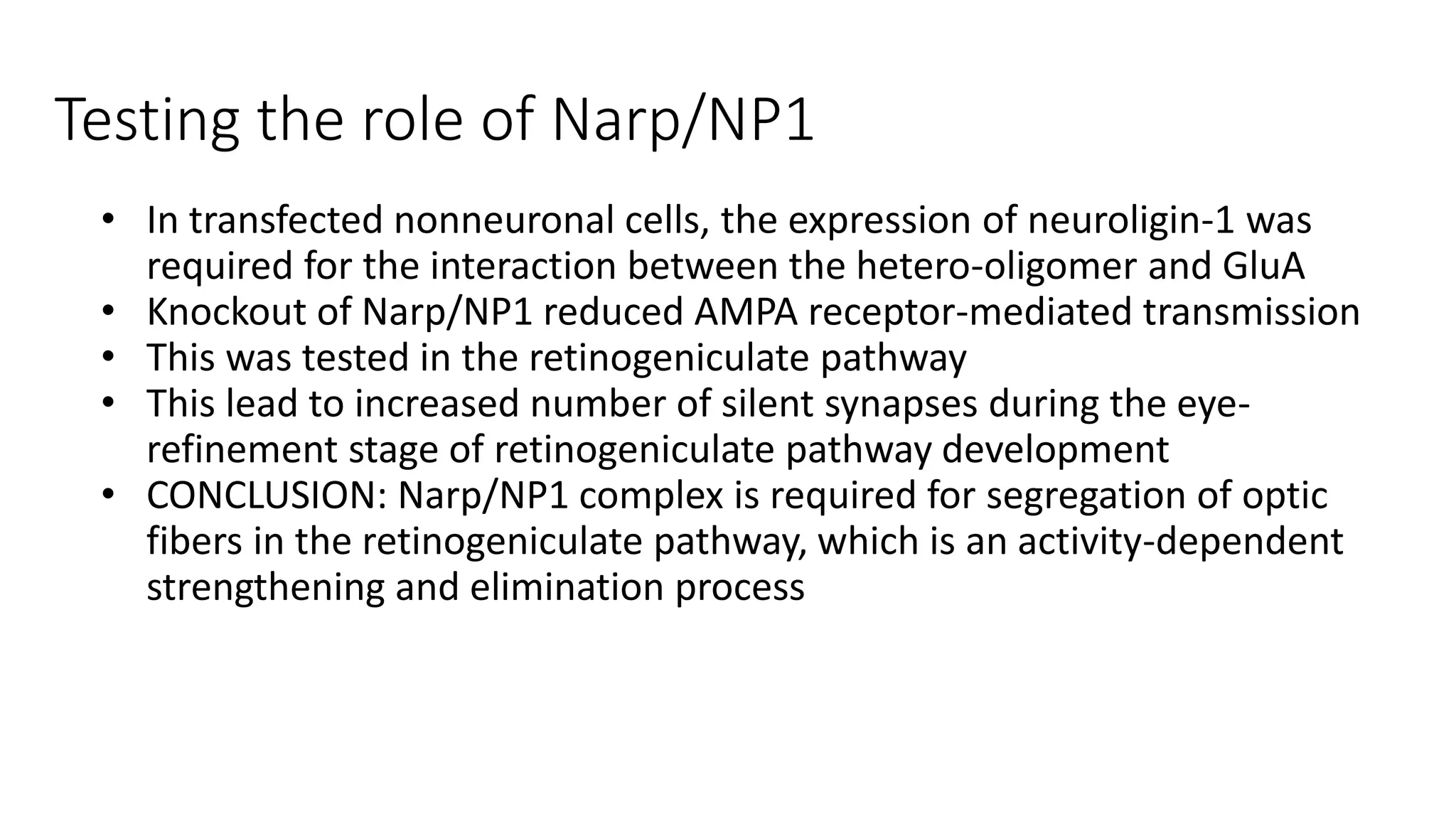 Testing the role of Narp/NP1
• In transfected nonneuronal cells, the expression of neuroligin-1 was
required for the interaction between the hetero-oligomer and GluA
• Knockout of Narp/NP1 reduced AMPA receptor-mediated transmission
• This was tested in the retinogeniculate pathway
• This lead to increased number of silent synapses during the eye-
refinement stage of retinogeniculate pathway development
• CONCLUSION: Narp/NP1 complex is required for segregation of optic
fibers in the retinogeniculate pathway, which is an activity-dependent
strengthening and elimination process
 