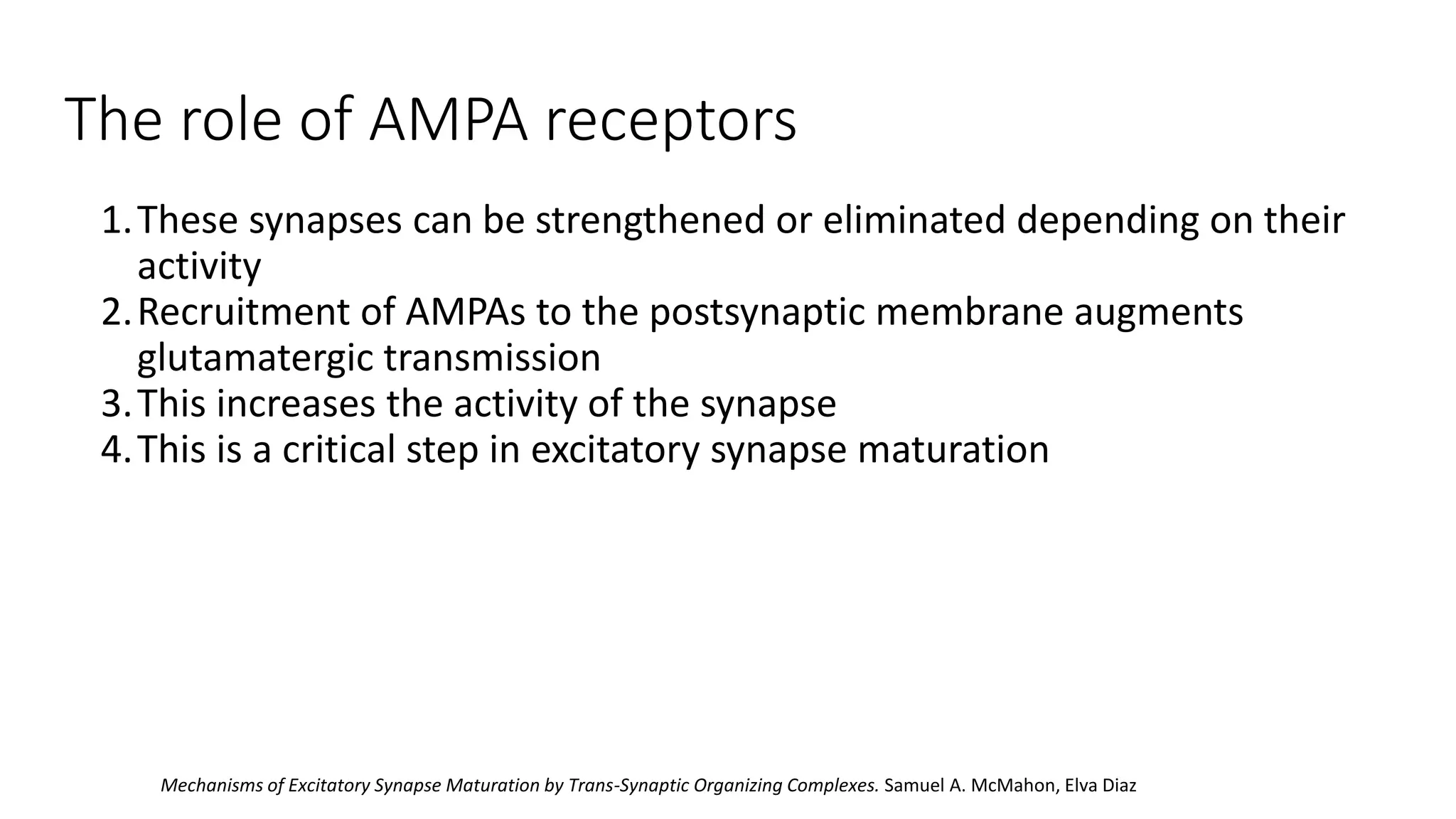 The role of AMPA receptors
1.These synapses can be strengthened or eliminated depending on their
activity
2.Recruitment of AMPAs to the postsynaptic membrane augments
glutamatergic transmission
3.This increases the activity of the synapse
4.This is a critical step in excitatory synapse maturation
Mechanisms of Excitatory Synapse Maturation by Trans-Synaptic Organizing Complexes. Samuel A. McMahon, Elva Diaz
 
