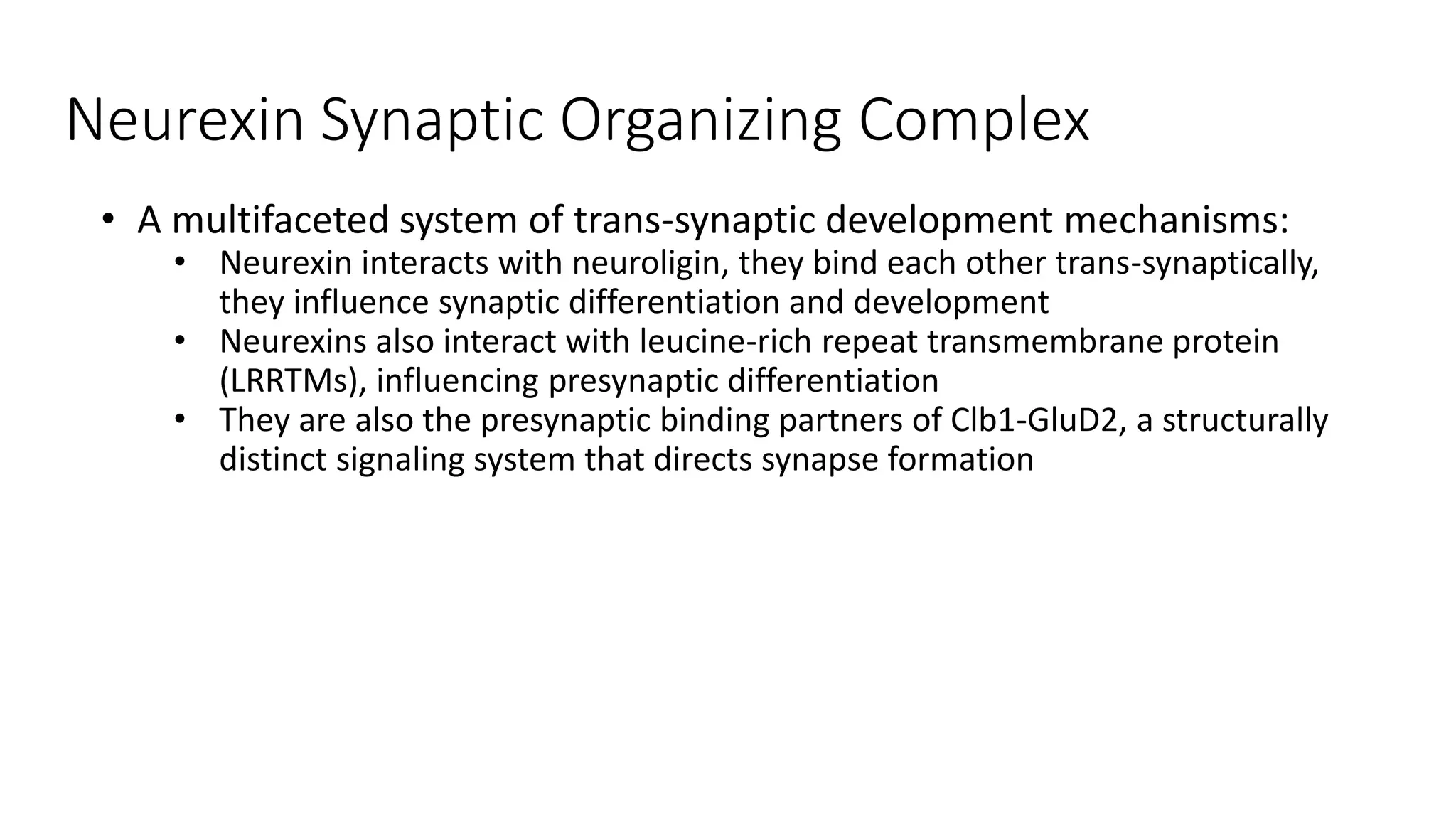 Neurexin Synaptic Organizing Complex
• A multifaceted system of trans-synaptic development mechanisms:
• Neurexin interacts with neuroligin, they bind each other trans-synaptically,
they influence synaptic differentiation and development
• Neurexins also interact with leucine-rich repeat transmembrane protein
(LRRTMs), influencing presynaptic differentiation
• They are also the presynaptic binding partners of Clb1-GluD2, a structurally
distinct signaling system that directs synapse formation
 