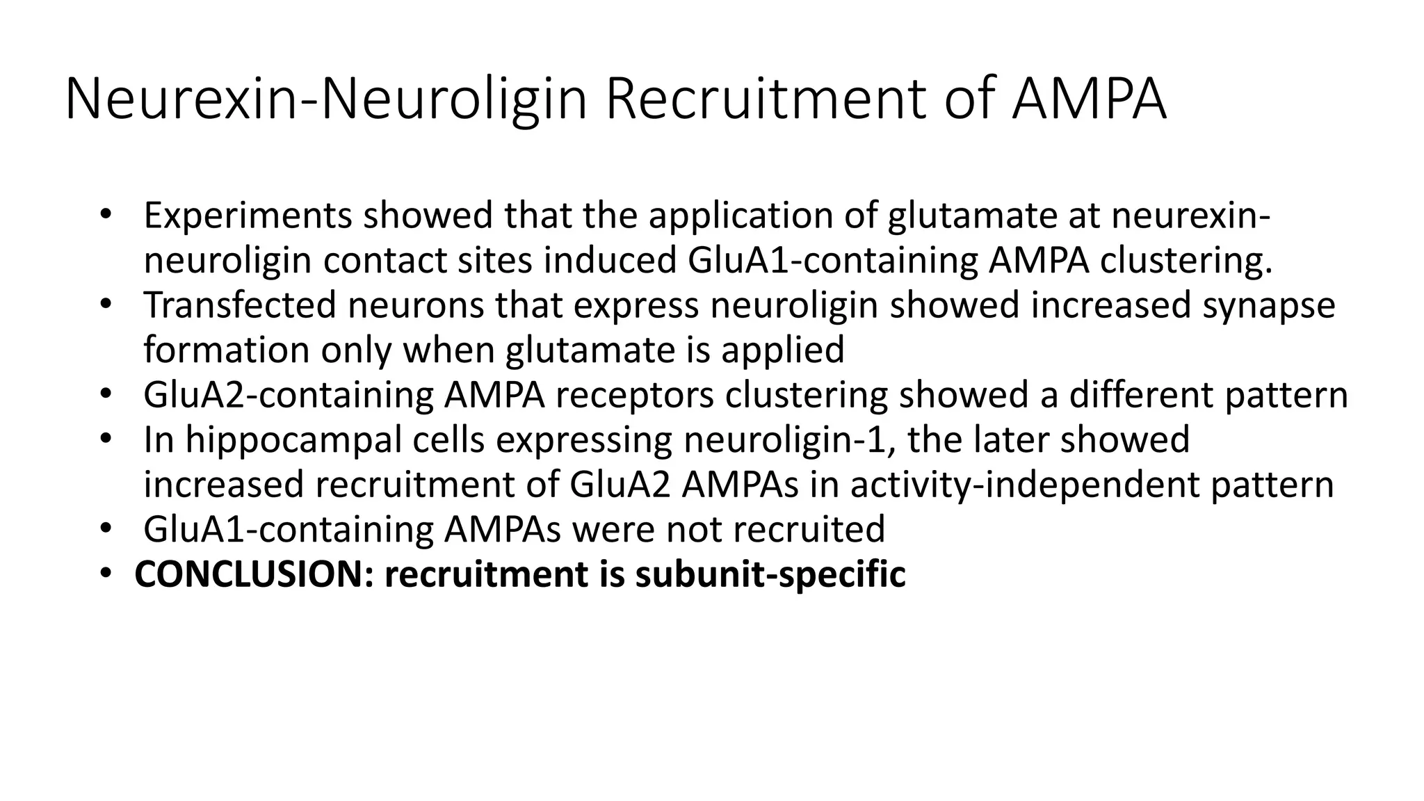 Neurexin-Neuroligin Recruitment of AMPA
• Experiments showed that the application of glutamate at neurexin-
neuroligin contact sites induced GluA1-containing AMPA clustering.
• Transfected neurons that express neuroligin showed increased synapse
formation only when glutamate is applied
• GluA2-containing AMPA receptors clustering showed a different pattern
• In hippocampal cells expressing neuroligin-1, the later showed
increased recruitment of GluA2 AMPAs in activity-independent pattern
• GluA1-containing AMPAs were not recruited
• CONCLUSION: recruitment is subunit-specific
 