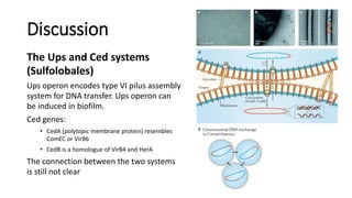 Transfer Operon Mechanisms of gene flow in Archaea.pptx
