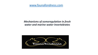 Mechanisms of osmoregulation in fresh
water and marine water Invertebrates
www.faunafondness.com
 