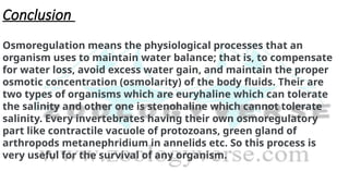 Conclusion
Osmoregulation means the physiological processes that an
organism uses to maintain water balance; that is, to compensate
for water loss, avoid excess water gain, and maintain the proper
osmotic concentration (osmolarity) of the body fluids. Their are
two types of organisms which are euryhaline which can tolerate
the salinity and other one is stenohaline which cannot tolerate
salinity. Every invertebrates having their own osmoregulatory
part like contractile vacuole of protozoans, green gland of
arthropods metanephridium in annelids etc. So this process is
very useful for the survival of any organism.
 