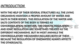 INTRODUCTION
WITH THE HELP OF THEIR SEVERAL STRUCTURES ALL THE LIVING
ORGANISMS MAINTAIN A PROPER AMOUNT OF WATER AND
SALTS IN THEIR BODIES. THIS REGULATION OF THE WATER AND
SALTS CONTENTS OF THE BODY IS TERMED AS
OSMOREGULATION. HOWEVER, THE OSMOTIC REGULATION
AND IONIC REGULATION ARE SOMETIMES TREATED AS THE
DIFFERENT MECHANISMS. BUT IN MOST ANIMALS THE
OSMOREGULATORY MECHANISM INCLUDES BOTH OF THEM
BECAUSE THE REGULATION OF ONE(WATER) ALWAYS AFFECTS
THE OTHER(SALTS).
 