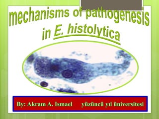 E.histolytica pathogenesis