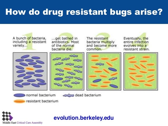 mechanisms 8 of evolution of Antibiotics Mechanisms Resistance to