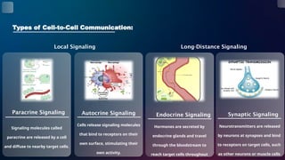 Mechanisms of Substance Movement Across Cell Membranes.pptx