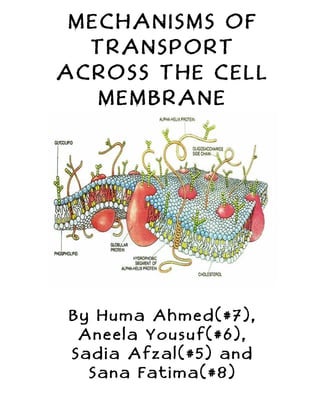 MECHANISMS OF
  TRANSPORT
ACROSS THE CELL
   MEMBRANE




By Huma Ahmed(#7),
 Aneela Yousuf(#6),
Sadia Afzal(#5) and
  Sana Fatima(#8)
 