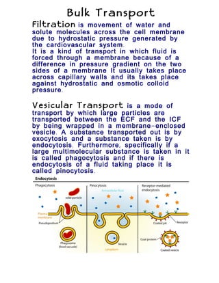Mechanisms of transport across the cell membrane | DOC